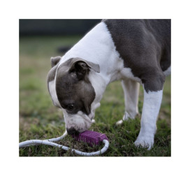 Rucan Stick 5 Lila para Perro Juguetes para perros Patitas&co