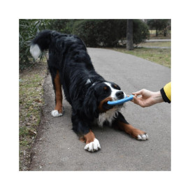 Rucan Frisbee Sky Rings Azul para Perro Juguetes para perros Patitas&co Rucan Frisbee Sky Rings Azul para Perro Juguetes para perros Patitas&co