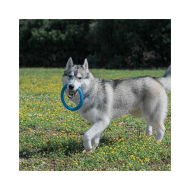 Rucan Frisbee Sky Rings Azul para Perro Juguetes para perros Patitas&co Rucan Frisbee Sky Rings Azul para Perro Juguetes para perros Patitas&co