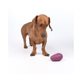 Rucan Conic Lila para Perro Juguetes para perros Patitas&co