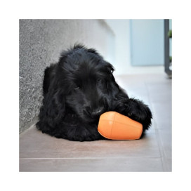 Rucan Conic Naranja para Perro Juguetes para perros Patitas&co