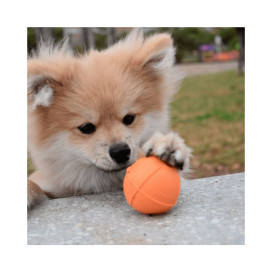 Rucan Dog Ball Pelota Naranja para Perro Juguetes para perros Patitas&co