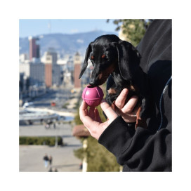 Rucan Dog Ball Pelota Lila para Perro Juguetes para perros Patitas&co