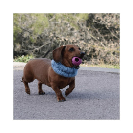 Rucan Dog Ball Pelota Lila para Perro Juguetes para perros Patitas&co