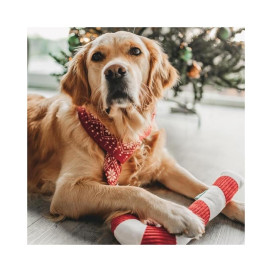 Beeztees Bastón de Caramelo Peluche para Perro Especial navidad Patitas&co