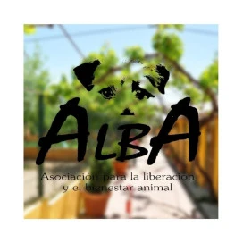 Donación Protectora de Animales Alba (Madrid) Donaciones protectoras Patitas&co