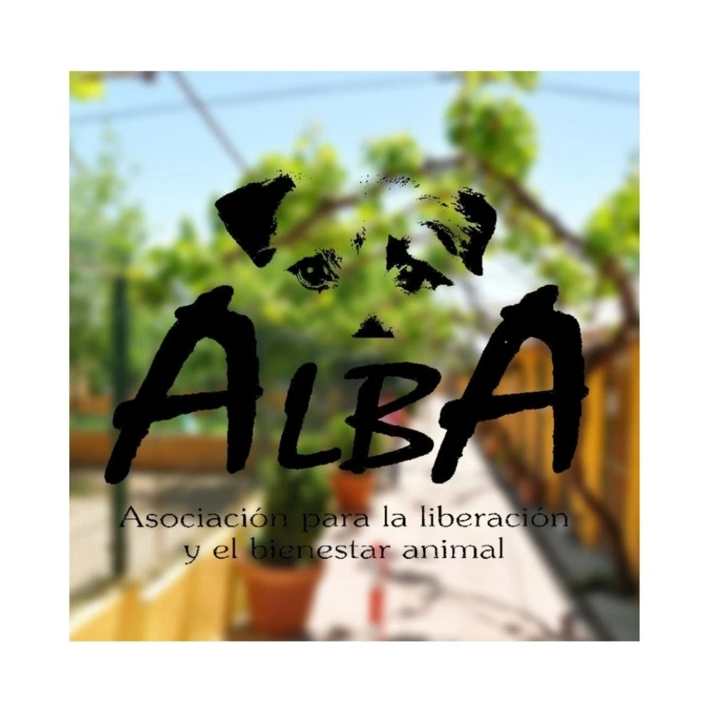 Donación Protectora de Animales Alba (Madrid) Donaciones protectoras Patitas&co