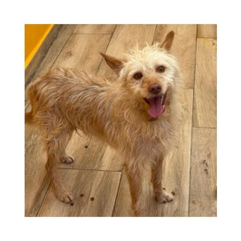 Regalo para Bambin Patitas&co Patitas&co