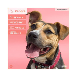 Regalo para Zahora Regalo amigo peludo invisible Patitas&co