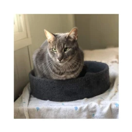 Regalo para Luigi Regalo amigo peludo invisible Patitas&co