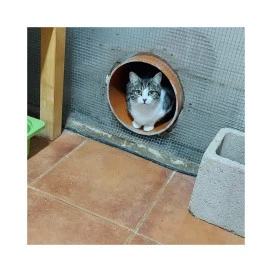 Regalo para Riley Regalo amigo peludo invisible Patitas&co