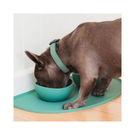 FuzzYard Life Bandeja de Silicona (Verde) Comederos y Bebederos para perros Patitas&co