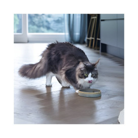 Designed by Lotte Comedero de Cerámica Verde para Gato Comederos y Bebederos para Gatos Patitas&co