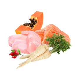 Puromenu Dieta BARF Pollo con Salmón (Amarme sin Más) para Perro Dieta BARF Perros Patitas&co