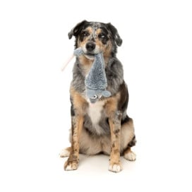 FuzzYard Juguete Rack Off Rat The Yeetz para Perros Patitas&co Patitas&co