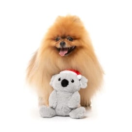Fuzzyard Juguete Navideño Coco Koala para Perro Patitas&co Patitas&co