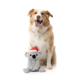 Fuzzyard Juguete Navideño Coco Koala para Perro Especial navidad Patitas&co