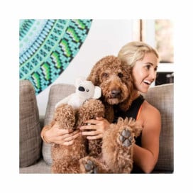 FuzzYard Juguete en forma de Koala para Perros Juguetes para perros Patitas&co