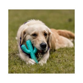 Freedog Juguete Cactus de Goma para Perro Especial Verano Patitas&co