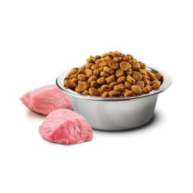 Farmina ND Pumpkin Pienso Natural de Cordero para Perros Adultos Mini Pienso para Perros Patitas&co