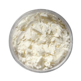 Naturextra Kefir Liofilizado en Polvo Comida Natural para Gatos Patitas&co
