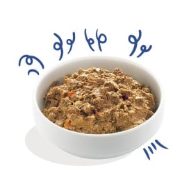 Edgard and Cooper Tarrina Salmón y Pavo 150g Perros Comida húmeda para Perros Patitas&co