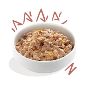 Edgard and Cooper Tarrina Pollo y Salmon 150g Perro Senior Comida húmeda para Perros Patitas&co