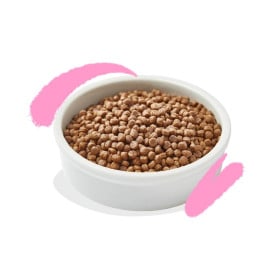 Edgard and Cooper Pienso Pato y Pollo para Gato Cachorro Pienso para gatos Patitas&co