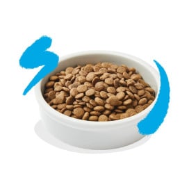 Edgard and Cooper Salmón Pienso Natural para Gatos Pienso para gatos Patitas&co