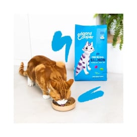 Edgard and Cooper Salmón Pienso Natural para Gatos Pienso para gatos Patitas&co