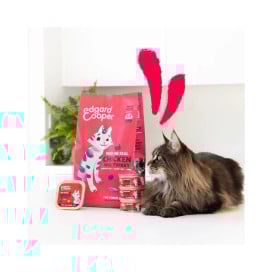 Edgard and Cooper Tarrina Pollo y Pavo para Gatos Senior Comida húmeda para gatos Patitas&co