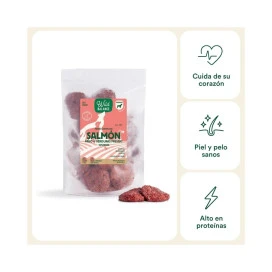 Wild Balance Dieta BARF Salmón con Verduras para Perro Dieta BARF Perros Patitas&co