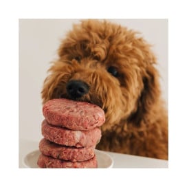 Wild Balance Dieta BARF Pavo con Verduras para Perro Dieta BARF Perros Patitas&co