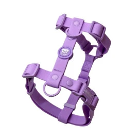 Dukier Arnés Waterproof Morado para Perros Accesorios de Paseo para Perro Patitas&co