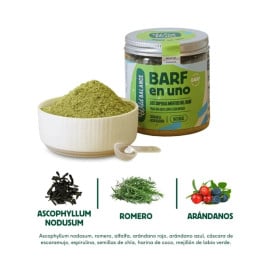 Wild Balance Sistema Inmune (BARF en uno) Vitaminas para Perros y otros Suplementos Patitas&co