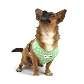 Arnés Patitas Vichy Accesorios de Paseo para Perro Patitas&co