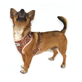 Arnés Patitas de Jirafa Accesorios de Paseo para Perro Patitas&co