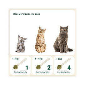 Wild Balance Articulaciones de Acero Reforzar defensas y articulaciones gatos Patitas&co