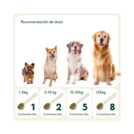 Wild Balance Suplemento Polen de Abeja (Reducir Colesterol) Vitaminas para Perros y otros Suplementos Patitas&co