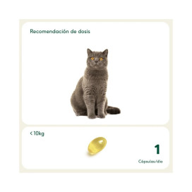 Wild Balance Pelaje Radiante (Cápsulas omega 3) Vitaminas para Perros y otros Suplementos Patitas&co