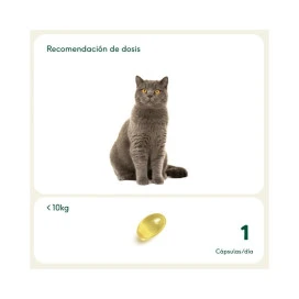 Wild Balance Pelaje Radiante (Cápsulas omega 3) Vitaminas para Perros y otros Suplementos Patitas&co