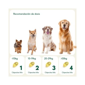 Wild Balance Pelaje Radiante (Cápsulas omega 3) Vitaminas para Perros y otros Suplementos Patitas&co