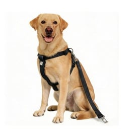 Arnés de Seguridad y Correa de Coche para Perros Seguridad y Viaje para Perro Patitas&co
