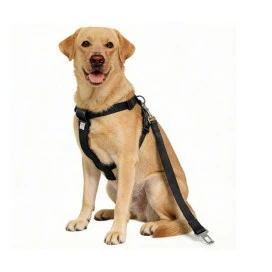 Arnés de Seguridad y Correa de Coche para Perros Seguridad y Viaje para Perro Patitas&co