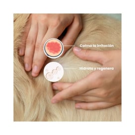 Masco Beauty Champu Detox Pieles Sensibles Cosmética Natural y Peluquería Perros Patitas&co