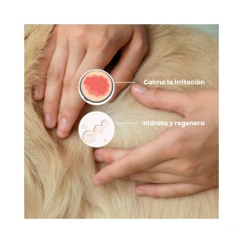Masco Beauty Champu Detox Pieles Sensibles Cosmética Natural y Peluquería Perros Patitas&co