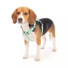 Arnés Patitas Clasic Vichy para Perro Arneses para perro Patitas&co