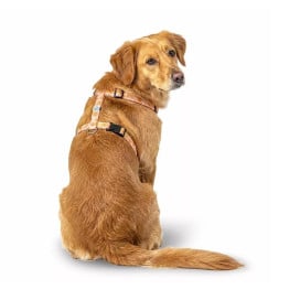 Arnés Patitas Clasic Soles para Perro Arneses para perro Patitas&co