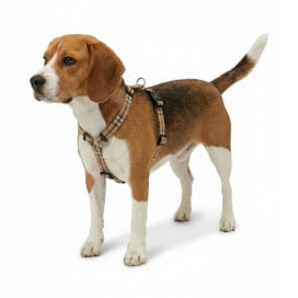 Arnés Patitas Clasic Cuadros para Perro Arneses para perro Patitas&co