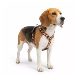 Arnés Patitas Clasic de Jirafa para Perro Arneses para perro Patitas&co